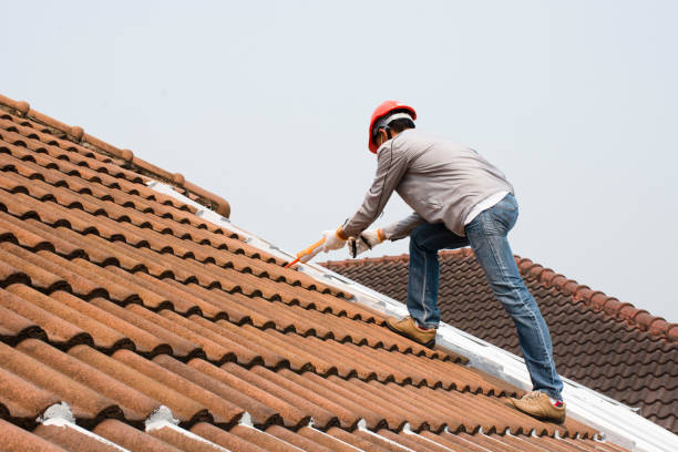 Tennessee Ridge, TN  Roofing repair and installation Company