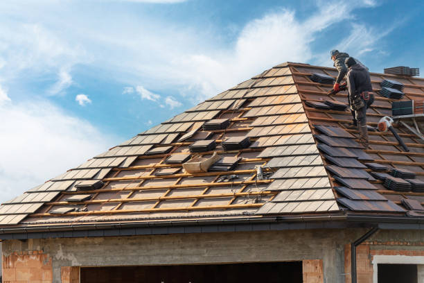Best Skylight Installation and Repair  in Tennessee Ridge, TN