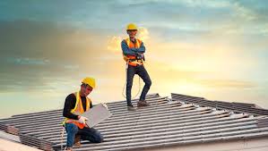 Best Roof Moss and Algae Removal  in Tennessee Ridge, TN